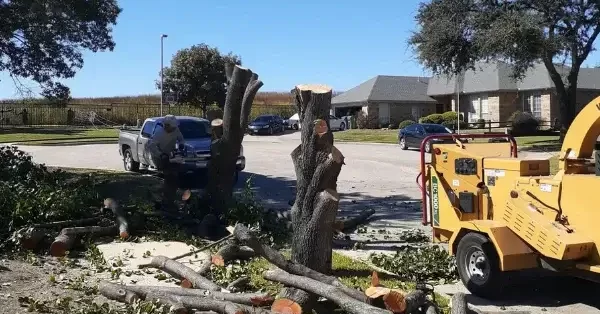 emergency tree service McKinney tx