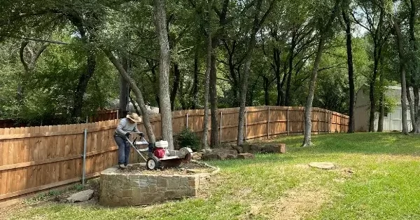 Proactive Tree Maintenance