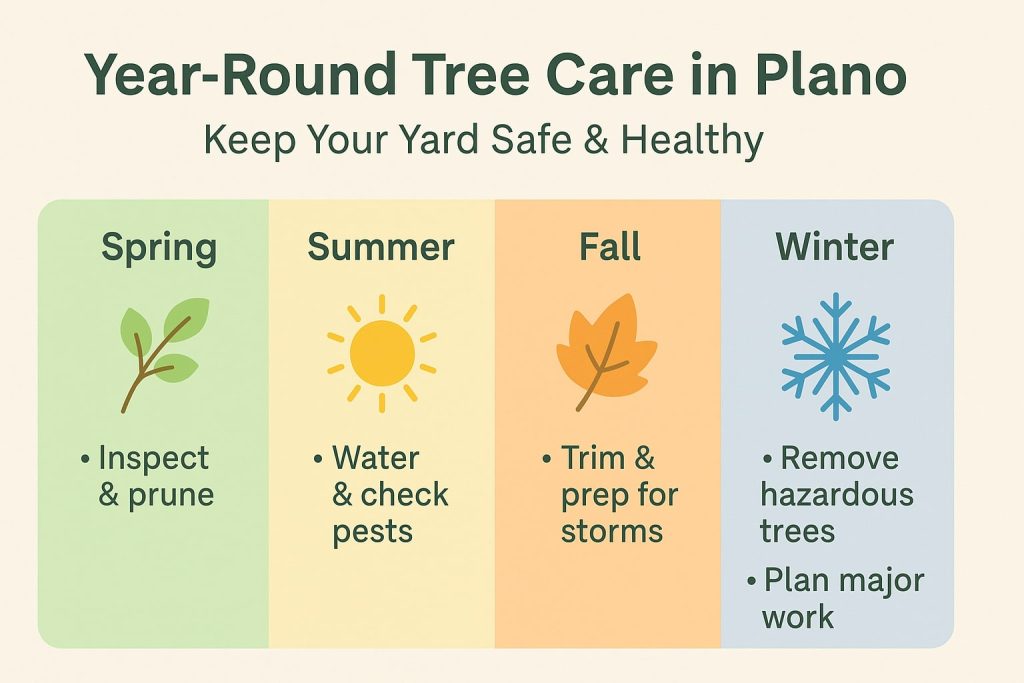 Seasonal tree care checklist graphic for Plano, TX showing simple tasks for Spring, Summer, Fall, and Winter to keep yards healthy and safe