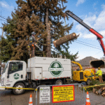 Tree Removal Permit in Frisco, Prosper, or Little Elm, TX